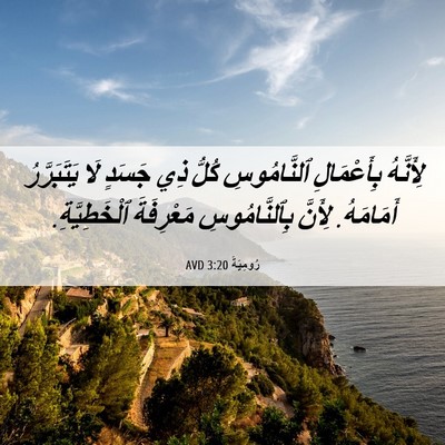 Picture 06 - رُومِيَةَ 3:20 AVD - لِأَنَّهُ بِأَعْمَالِ - Bible Verse Picture