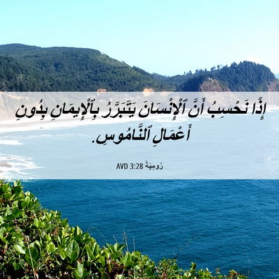 Picture 06 - رُومِيَةَ 3:28 AVD - إِذًا نَحْسِبُ أَنَّ - Bible Verse Picture