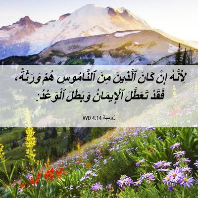 Picture 06 - رُومِيَةَ 4:14 AVD - لِأَنَّهُ إِنْ كَانَ - Bible Verse Picture