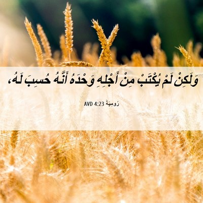 Picture 06 - رُومِيَةَ 4:23 AVD - وَلَكِنْ لَمْ يُكْتَبْ - Bible Verse Picture