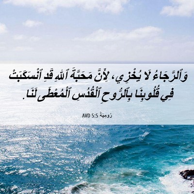 Picture 06 - رُومِيَةَ 5:5 AVD - وَٱلرَّجَاءُ لَا يُخْزِي، - Bible Verse Picture