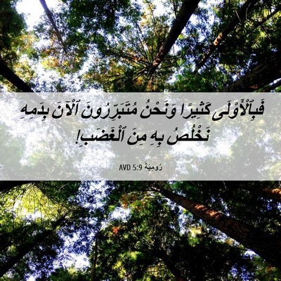 Picture 06 - رُومِيَةَ 5:9 AVD - فَبِٱلْأَوْلَى كَثِيرًا - Bible Verse Picture