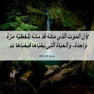 Picture 06 - رُومِيَةَ 6:10 AVD - لِأَنَّ ٱلْمَوْتَ ٱلَّذِي - Bible Verse Picture