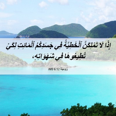 Picture 06 - رُومِيَةَ 6:12 AVD - إِذًا لَا تَمْلِكَنَّ - Bible Verse Picture