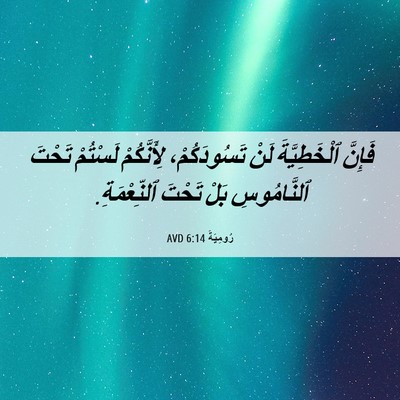 Picture 06 - رُومِيَةَ 6:14 AVD - فَإِنَّ ٱلْخَطِيَّةَ لَنْ - Bible Verse Picture