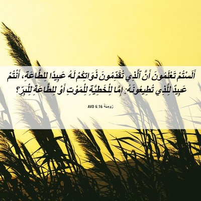 Picture 06 - رُومِيَةَ 6:16 AVD - أَلَسْتُمْ تَعْلَمُونَ - Bible Verse Picture