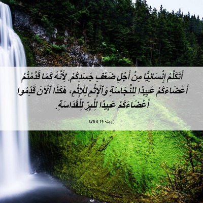 Picture 06 - رُومِيَةَ 6:19 AVD - أَتَكَلَّمُ إِنْسَانِيًّا - Bible Verse Picture