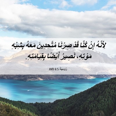 Picture 06 - رُومِيَةَ 6:5 AVD - لِأَنَّهُ إِنْ كُنَّا قَدْ - Bible Verse Picture