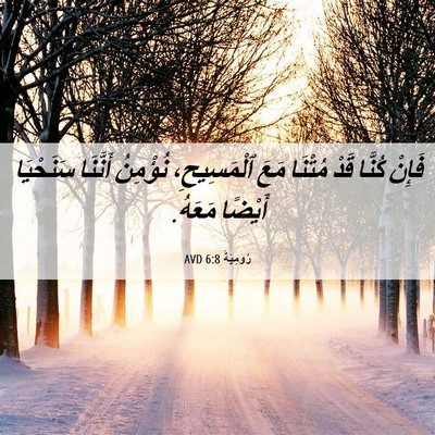 Picture 06 - رُومِيَةَ 6:8 AVD - فَإِنْ كُنَّا قَدْ مُتْنَا - Bible Verse Picture