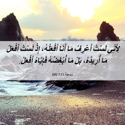 Picture 06 - رُومِيَةَ 7:15 AVD - لِأَنِّي لَسْتُ أَعْرِفُ - Bible Verse Picture