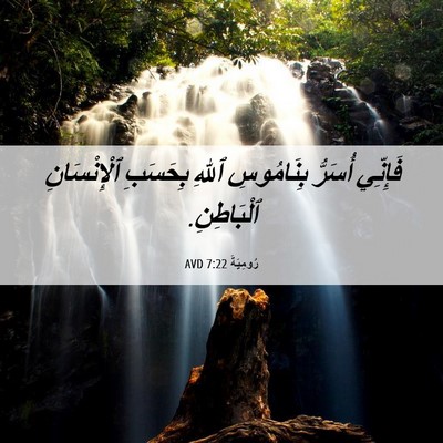 Picture 06 - رُومِيَةَ 7:22 AVD - فَإِنِّي أُسَرُّ - Bible Verse Picture