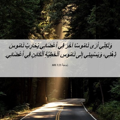 Picture 06 - رُومِيَةَ 7:23 AVD - وَلَكِنِّي أَرَى - Bible Verse Picture