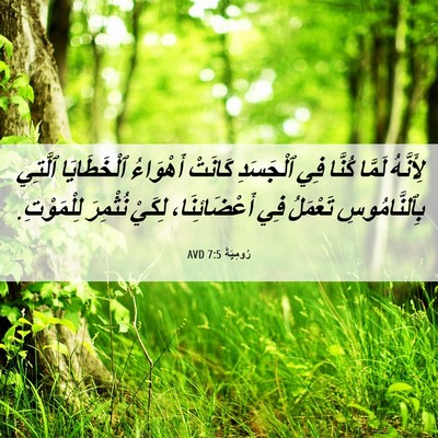 Picture 06 - رُومِيَةَ 7:5 AVD - لِأَنَّهُ لَمَّا كُنَّا - Bible Verse Picture