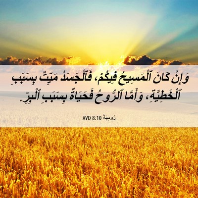 Picture 06 - رُومِيَةَ 8:10 AVD - وَإِنْ كَانَ ٱلْمَسِيحُ - Bible Verse Picture