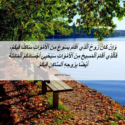 Picture 06 - رُومِيَةَ 8:11 AVD - وَإِنْ كَانَ رُوحُ ٱلَّذِي - Bible Verse Picture