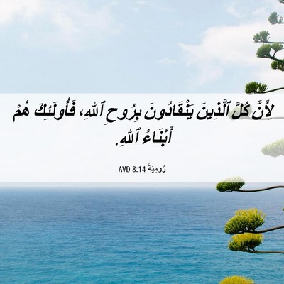 Picture 06 - رُومِيَةَ 8:14 AVD - لِأَنَّ كُلَّ ٱلَّذِينَ - Bible Verse Picture