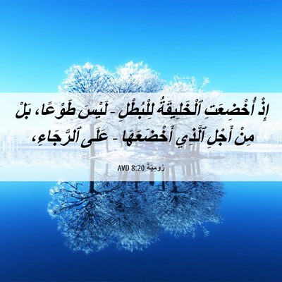 Picture 06 - رُومِيَةَ 8:20 AVD - إِذْ أُخْضِعَتِ - Bible Verse Picture