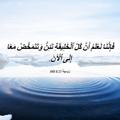 Picture 06 - رُومِيَةَ 8:22 AVD - فَإِنَّنَا نَعْلَمُ أَنَّ - Bible Verse Picture