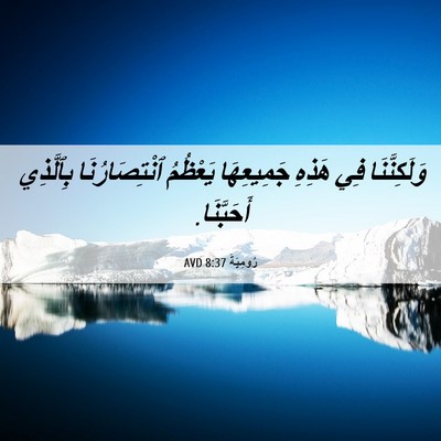 Picture 06 - رُومِيَةَ 8:37 AVD - وَلَكِنَّنَا فِي هَذِهِ - Bible Verse Picture