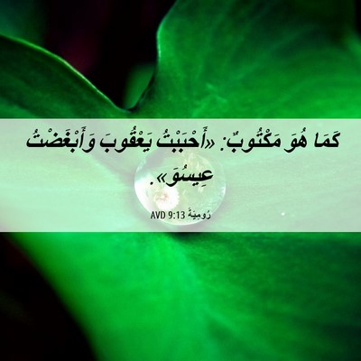 Picture 06 - رُومِيَةَ 9:13 AVD - كَمَا هُوَ مَكْتُوبٌ: - Bible Verse Picture