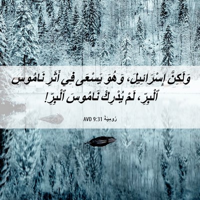Picture 06 - رُومِيَةَ 9:31 AVD - وَلَكِنَّ إِسْرَائِيلَ، - Bible Verse Picture