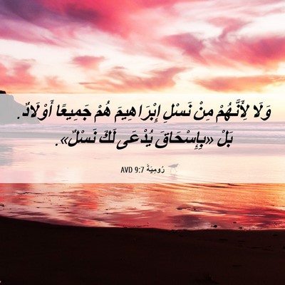 Picture 06 - رُومِيَةَ 9:7 AVD - وَلَا لِأَنَّهُمْ مِنْ - Bible Verse Picture