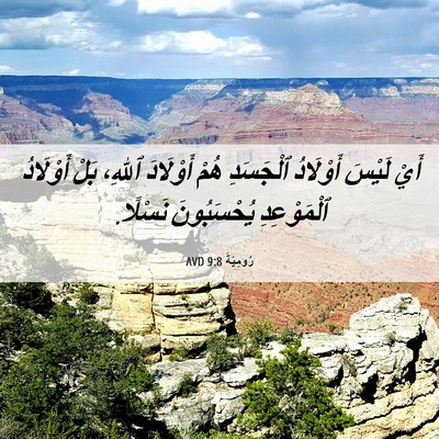 Picture 06 - رُومِيَةَ 9:8 AVD - أَيْ لَيْسَ أَوْلَادُ - Bible Verse Picture