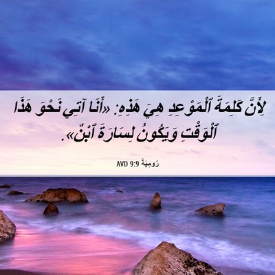 Picture 06 - رُومِيَةَ 9:9 AVD - لِأَنَّ كَلِمَةَ - Bible Verse Picture