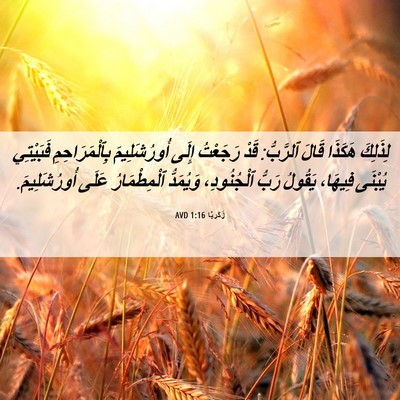 Picture 06 - زَكَريَّا 1:16 AVD - لِذَلِكَ هَكَذَا قَالَ - Bible Verse Picture