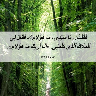 Picture 06 - زَكَريَّا 1:9 AVD - فَقُلْتُ: «يَا سَيِّدِي، - Bible Verse Picture