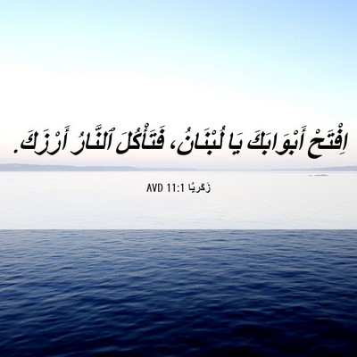 Picture 06 - زَكَريَّا 11:1 AVD - اِفْتَحْ أَبْوَابَكَ يَا - Bible Verse Picture