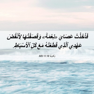Picture 06 - زَكَريَّا 11:10 AVD - فَأَخَذْتُ عَصَايَ - Bible Verse Picture