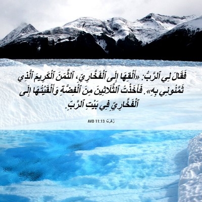 Picture 06 - زَكَريَّا 11:13 AVD - فَقَالَ لِي ٱلرَّبُّ: - Bible Verse Picture
