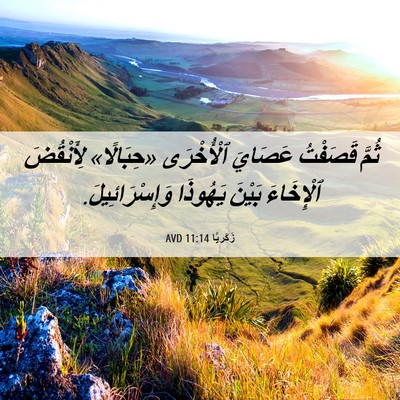Picture 06 - زَكَريَّا 11:14 AVD - ثُمَّ قَصَفْتُ عَصَايَ - Bible Verse Picture