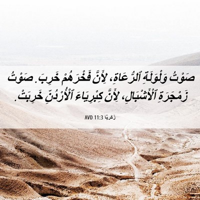 Picture 06 - زَكَريَّا 11:3 AVD - صَوْتُ وَلْوَلَةِ - Bible Verse Picture