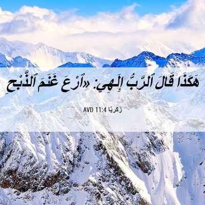 Picture 06 - زَكَريَّا 11:4 AVD - هَكَذَا قَالَ ٱلرَّبُّ - Bible Verse Picture
