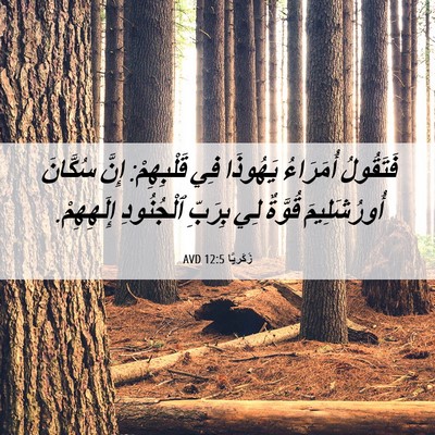 Picture 06 - زَكَريَّا 12:5 AVD - فَتَقُولُ أُمَرَاءُ - Bible Verse Picture