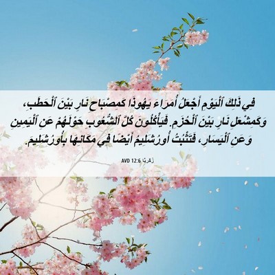 Picture 06 - زَكَريَّا 12:6 AVD - فِي ذَلِكَ ٱلْيَوْمِ - Bible Verse Picture