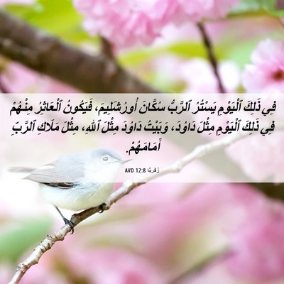 Picture 06 - زَكَريَّا 12:8 AVD - فِي ذَلِكَ ٱلْيَوْمِ - Bible Verse Picture