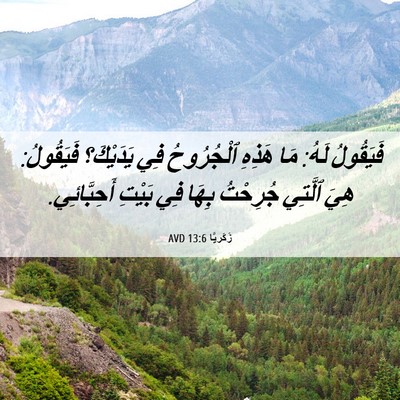 Picture 06 - زَكَريَّا 13:6 AVD - فَيَقُولُ لَهُ: مَا هَذِهِ - Bible Verse Picture