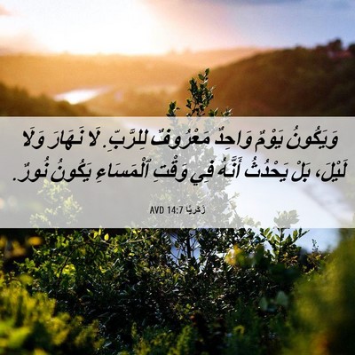 Picture 06 - زَكَريَّا 14:7 AVD - وَيَكُونُ يَوْمٌ وَاحِدٌ - Bible Verse Picture