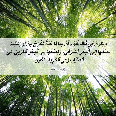 Picture 06 - زَكَريَّا 14:8 AVD - وَيَكُونُ فِي ذَلِكَ - Bible Verse Picture