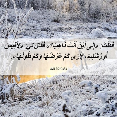 Picture 06 - زَكَريَّا 2:2 AVD - فَقُلْتُ: «إِلَى أَيْنَ - Bible Verse Picture