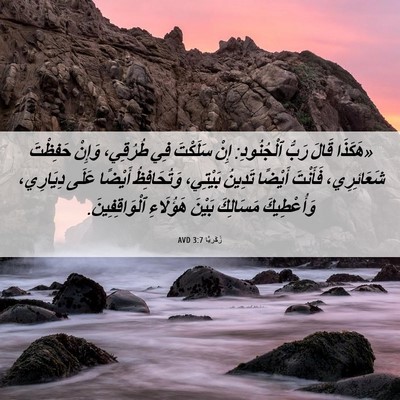 Picture 06 - زَكَريَّا 3:7 AVD - «هَكَذَا قَالَ رَبُّ - Bible Verse Picture