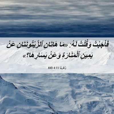 Picture 06 - زَكَريَّا 4:11 AVD - فَأَجَبْتُ وَقُلْتُ لَهُ: - Bible Verse Picture