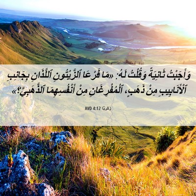Picture 06 - زَكَريَّا 4:12 AVD - وَأَجَبْتُ ثَانِيَةً - Bible Verse Picture