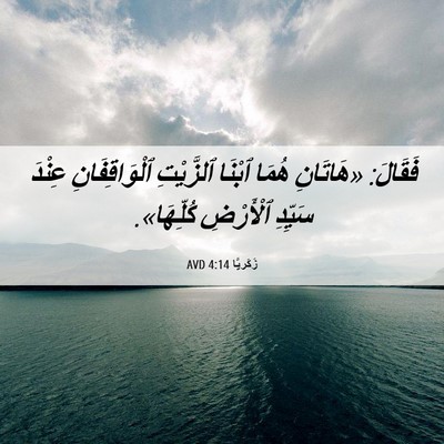 Picture 06 - زَكَريَّا 4:14 AVD - فَقَالَ: «هَاتَانِ هُمَا - Bible Verse Picture