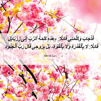 Picture 06 - زَكَريَّا 4:6 AVD - فَأَجَابَ وَكَلَّمَنِي - Bible Verse Picture