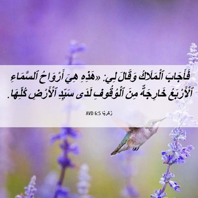 Picture 06 - زَكَريَّا 6:5 AVD - فَأَجَابَ ٱلْمَلَاكُ - Bible Verse Picture