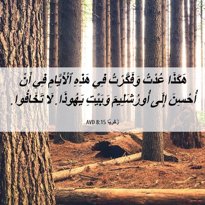 Picture 06 - زَكَريَّا 8:15 AVD - هَكَذَا عُدْتُ - Bible Verse Picture
